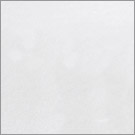 White Painted